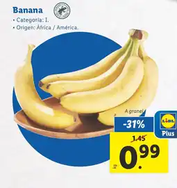 Lidl Banana oferta