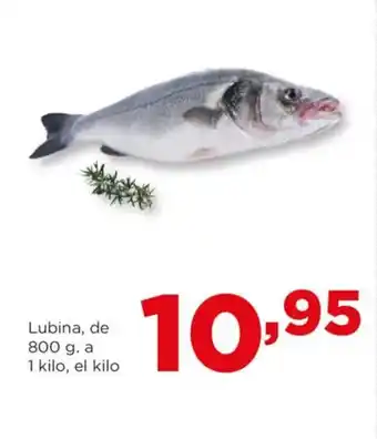 Alimerka Lubina oferta