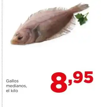 Alimerka Gallos medianos oferta