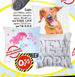 TEDi Cojín oferta