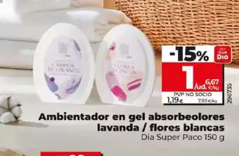 Dia Ambientador en gel absorbeolores oferta