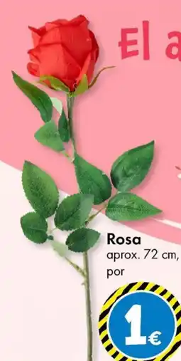 TEDi Rosa oferta