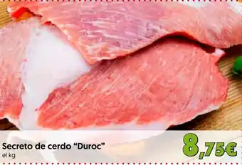 Hiper Usera Secreto de cerdo "Duroc❞ oferta