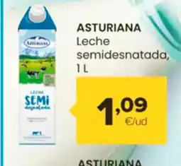 Autoservicios Familia ASTURIANA Leche desnatada oferta