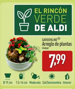 ALDI GARDENLINE Arreglo de plantas oferta