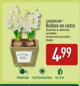 ALDI GARDENLINE Bulbos en cesta oferta