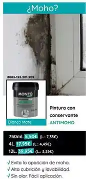 BricoCentro Monto - pintura con conservante oferta