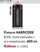 BricoCentro Pintura hardcore oferta