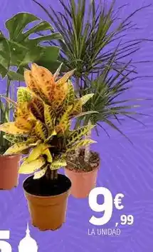 Carrefour Oppo - smartphone libre a60 oferta