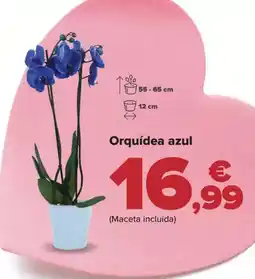 Carrefour Orquídea azul oferta