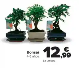 Carrefour Bonsái oferta