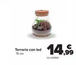 Carrefour Terrario con led oferta