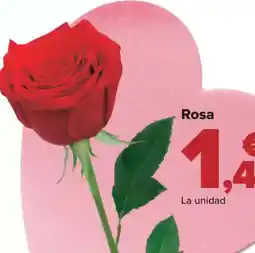 Carrefour Rosa oferta