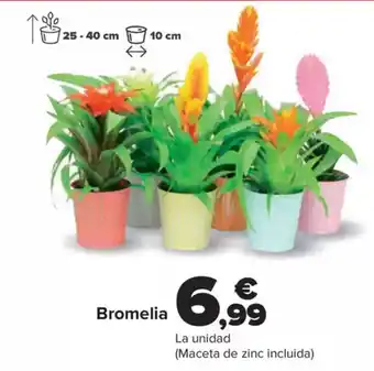 Carrefour Bromelia oferta