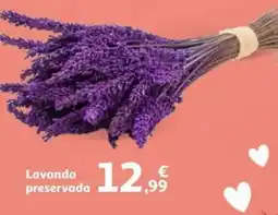 Alcampo Lavanda preservada oferta