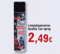 FROIZ Limpiatapicerías Quality Car spray oferta