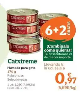 TiendAnimal Catxtreme - humedo para gato oferta