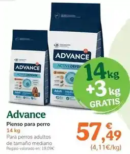 TiendAnimal Advance - pienso para perro oferta