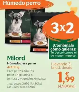 TiendAnimal Milord - humedo para perro oferta