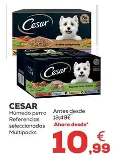 Kiwoko Cesar - humedo perro referencias seleccionadas multipacks oferta