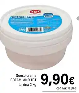 Cash Ifa TGT Queso crema creamland tarrina oferta