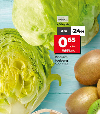 Dia Enciam Iceberg oferta