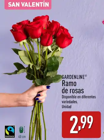 ALDI GARDENLINE Ramo de rosas oferta