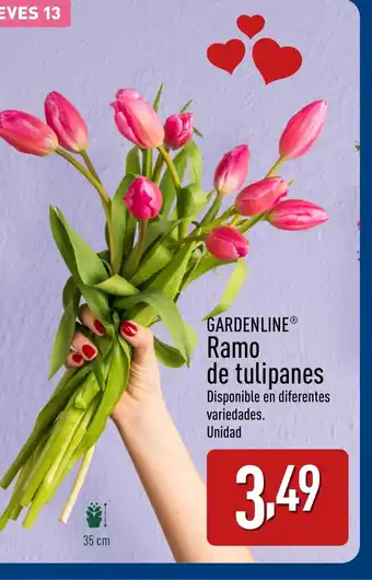 ALDI GARDENLINE Ramo de tulipanes oferta