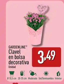 ALDI GARDENLINE Clavel en bolsa decorativa oferta