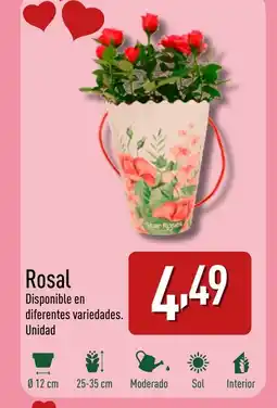 ALDI Rosal oferta