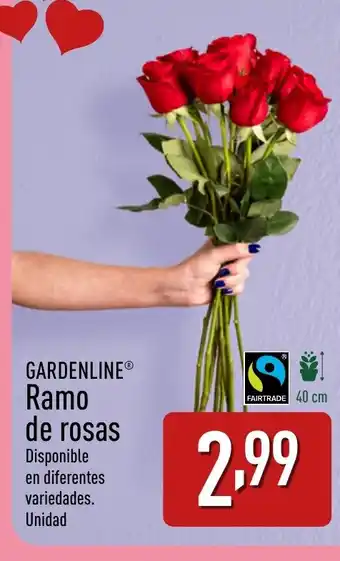 ALDI GARDENLINE Ramo de rosas oferta