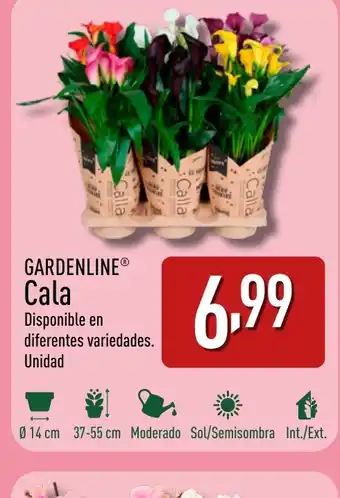 ALDI GARDENLINE Cala oferta