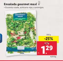 Lidl Ensalada gourmet maxi oferta