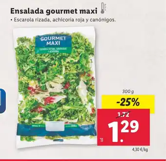 Lidl Ensalada gourmet maxi oferta