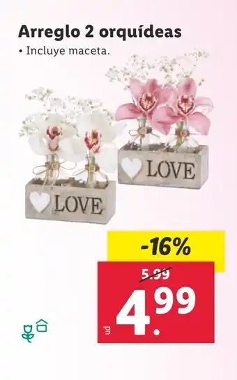 Lidl Arreglo 2 orquídeas oferta