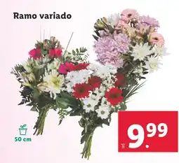 Lidl Ramo variado oferta