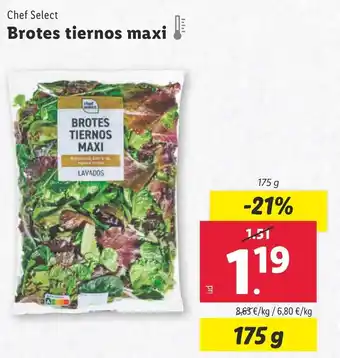 Lidl CHEF SELECT Brotes tiernos maxi oferta