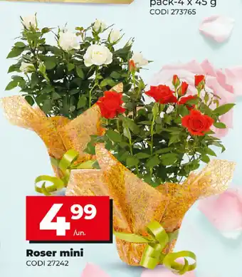 Dia Roser mini oferta