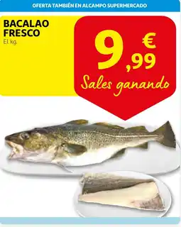 Alcampo Bacalao fresco oferta