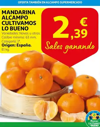 Alcampo Mandarina alcampo cultivamos lo bueno oferta