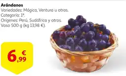 Alcampo Arándanos oferta