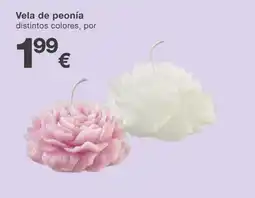 KIK Vela de peonía distintos colores, por oferta