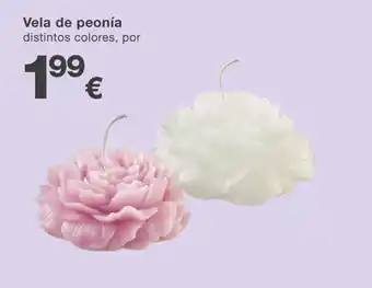 KIK Vela de peonía distintos colores, por oferta