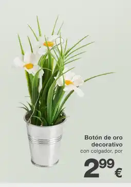 KIK Botón de oro decorativo oferta