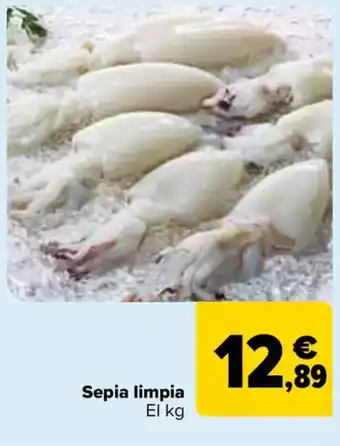 Carrefour Sepia limpia oferta