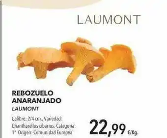 Supermercados Sánchez Romero Rebozuelo Anaranjado Laumont oferta