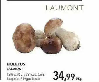 Supermercados Sánchez Romero Boletus Laumont oferta