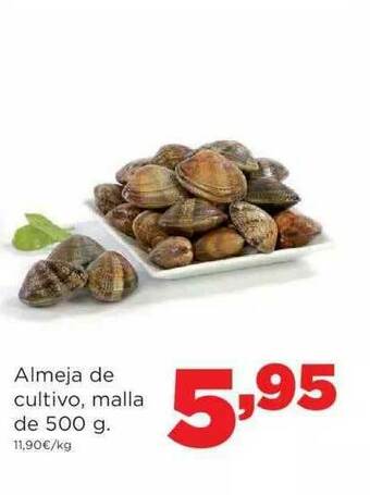 Alimerka Almeja De Cultivo Malla De 500 G oferta