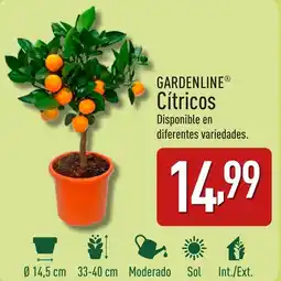 ALDI GARDENLINE® Cítricos oferta