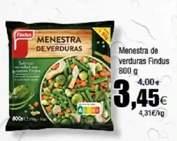 FROIZ FINDUS Menestra de verduras oferta